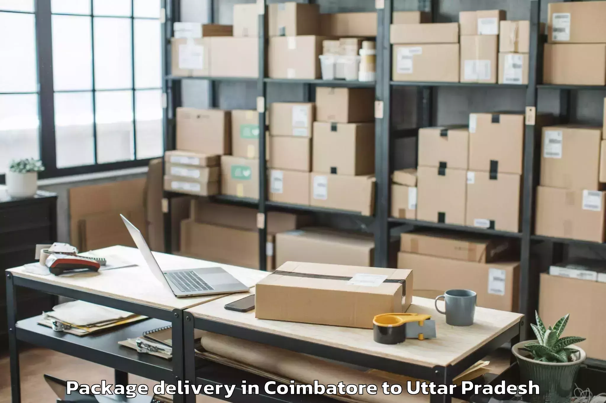 Hassle-Free Coimbatore to Shipra Mall Package Delivery